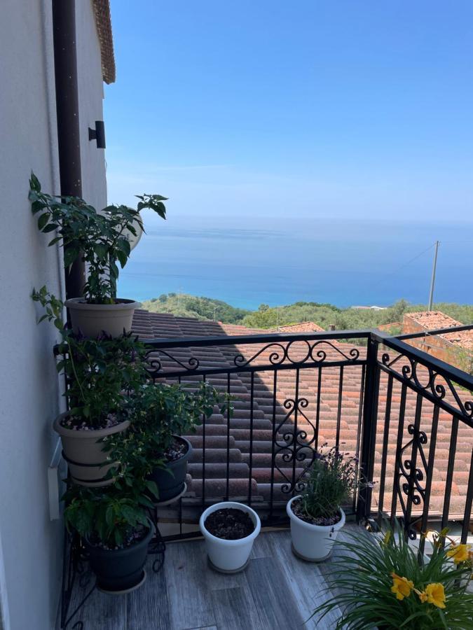 Il Panorama Apartment Buonvicino ภายนอก รูปภาพ